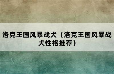 洛克王国风暴战犬（洛克王国风暴战犬性格推荐）