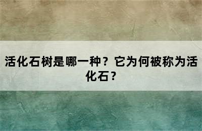 活化石树是哪一种？它为何被称为活化石？