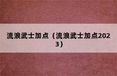 流浪武士加点（流浪武士加点2023）