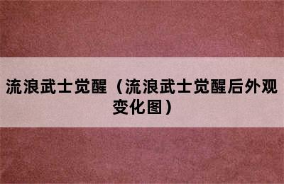 流浪武士觉醒（流浪武士觉醒后外观变化图）