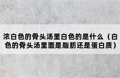 浓白色的骨头汤里白色的是什么（白色的骨头汤里面是脂肪还是蛋白质）