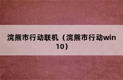 浣熊市行动联机（浣熊市行动win10）