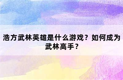 浩方武林英雄是什么游戏？如何成为武林高手？