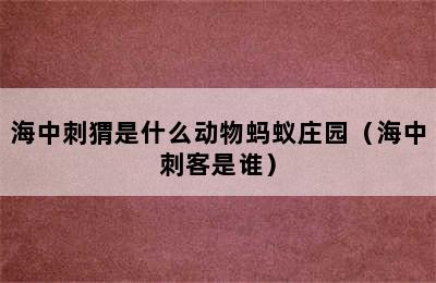 海中刺猬是什么动物蚂蚁庄园（海中刺客是谁）