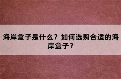 海岸盒子是什么？如何选购合适的海岸盒子？