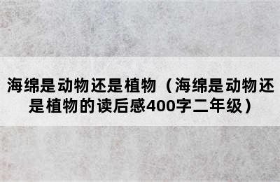 海绵是动物还是植物（海绵是动物还是植物的读后感400字二年级）