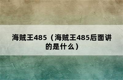 海贼王485（海贼王485后面讲的是什么）