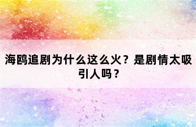 海鸥追剧为什么这么火？是剧情太吸引人吗？