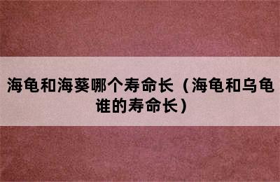 海龟和海葵哪个寿命长（海龟和乌龟谁的寿命长）