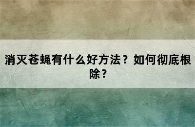 消灭苍蝇有什么好方法？如何彻底根除？