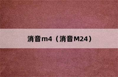 消音m4（消音M24）