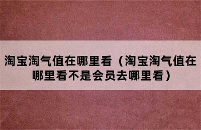 淘宝淘气值在哪里看（淘宝淘气值在哪里看不是会员去哪里看）