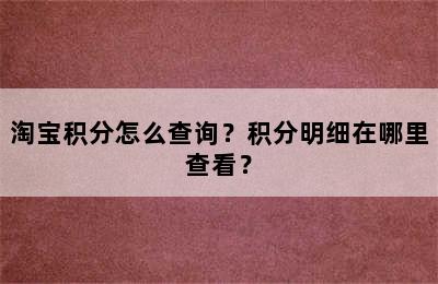 淘宝积分怎么查询？积分明细在哪里查看？