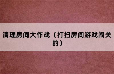 清理房间大作战（打扫房间游戏闯关的）