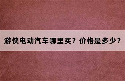 游侠电动汽车哪里买？价格是多少？