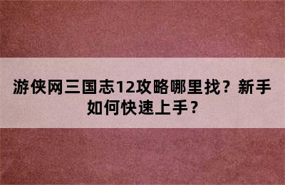 游侠网三国志12攻略哪里找？新手如何快速上手？