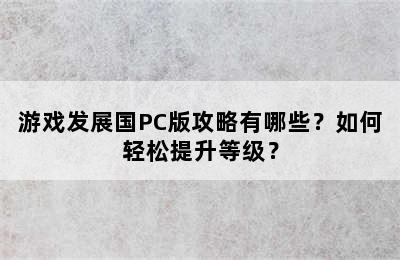 游戏发展国PC版攻略有哪些？如何轻松提升等级？