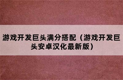 游戏开发巨头满分搭配（游戏开发巨头安卓汉化最新版）