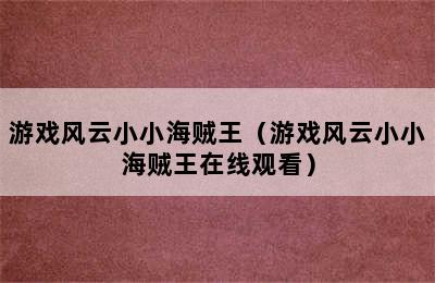 游戏风云小小海贼王（游戏风云小小海贼王在线观看）