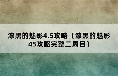 漆黑的魅影4.5攻略（漆黑的魅影45攻略完整二周目）