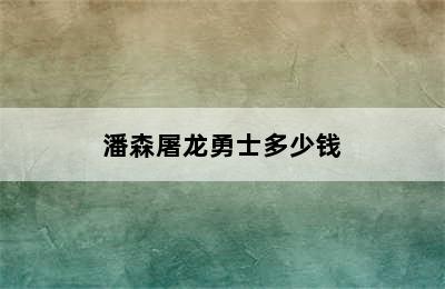 潘森屠龙勇士多少钱