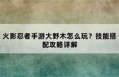 火影忍者手游大野木怎么玩？技能搭配攻略详解