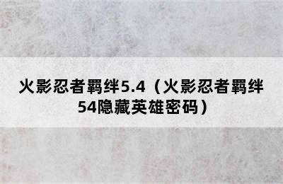 火影忍者羁绊5.4（火影忍者羁绊54隐藏英雄密码）