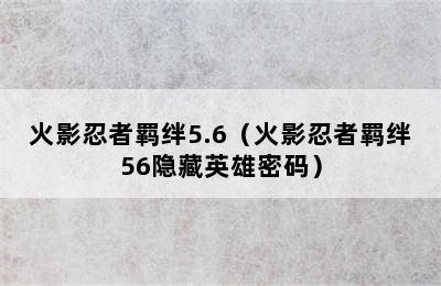 火影忍者羁绊5.6（火影忍者羁绊56隐藏英雄密码）