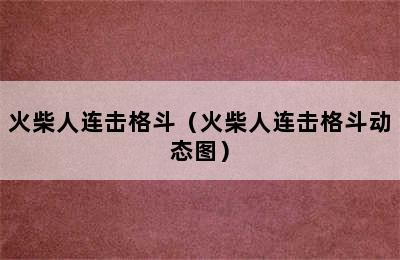 火柴人连击格斗（火柴人连击格斗动态图）