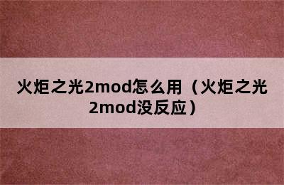 火炬之光2mod怎么用（火炬之光2mod没反应）