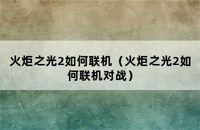 火炬之光2如何联机（火炬之光2如何联机对战）