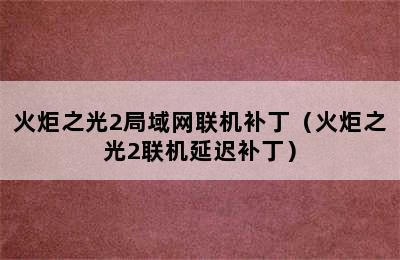 火炬之光2局域网联机补丁（火炬之光2联机延迟补丁）