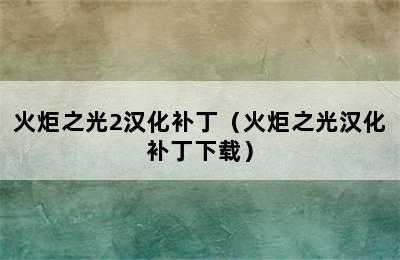 火炬之光2汉化补丁（火炬之光汉化补丁下载）