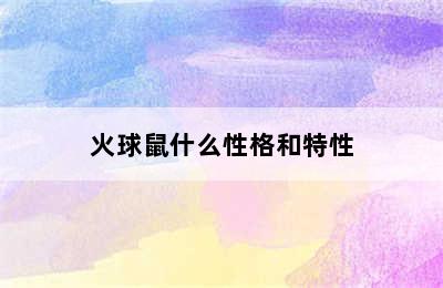 火球鼠什么性格和特性