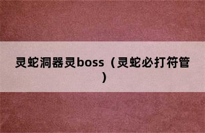 灵蛇洞器灵boss（灵蛇必打符管）