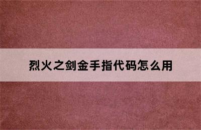 烈火之剑金手指代码怎么用