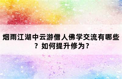 烟雨江湖中云游僧人佛学交流有哪些？如何提升修为？