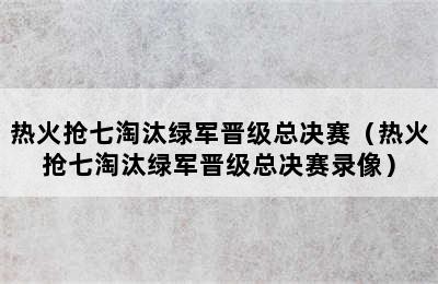 热火抢七淘汰绿军晋级总决赛（热火抢七淘汰绿军晋级总决赛录像）