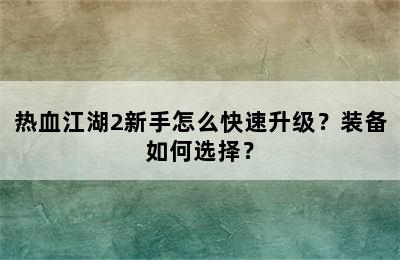 热血江湖2新手怎么快速升级？装备如何选择？