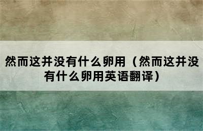 然而这并没有什么卵用（然而这并没有什么卵用英语翻译）