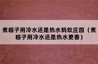 煮粽子用冷水还是热水蚂蚁庄园（煮粽子用冷水还是热水更香）