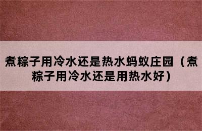 煮粽子用冷水还是热水蚂蚁庄园（煮粽子用冷水还是用热水好）