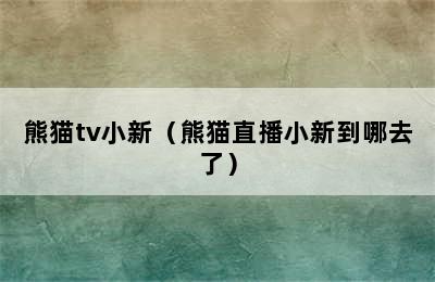 熊猫tv小新（熊猫直播小新到哪去了）