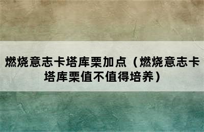 燃烧意志卡塔库栗加点（燃烧意志卡塔库栗值不值得培养）