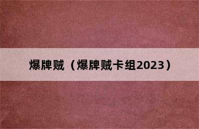 爆牌贼（爆牌贼卡组2023）