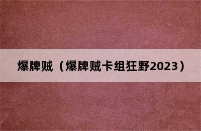 爆牌贼（爆牌贼卡组狂野2023）