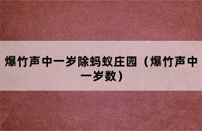 爆竹声中一岁除蚂蚁庄园（爆竹声中一岁数）