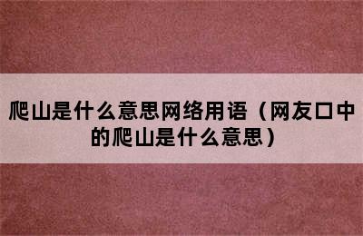 爬山是什么意思网络用语（网友口中的爬山是什么意思）