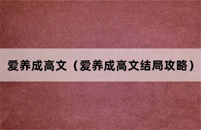 爱养成高文（爱养成高文结局攻略）