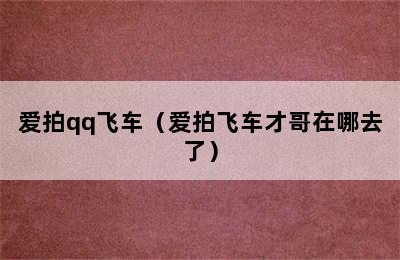 爱拍qq飞车（爱拍飞车才哥在哪去了）